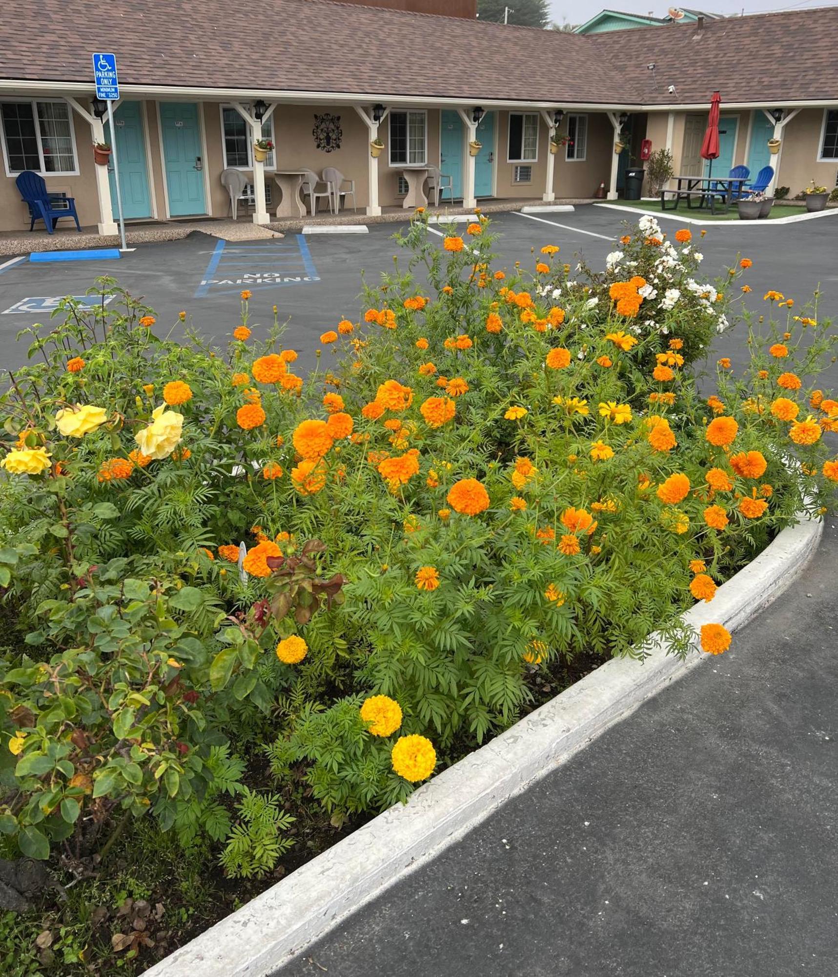 Central Coast Inn Cayucos Extérieur photo